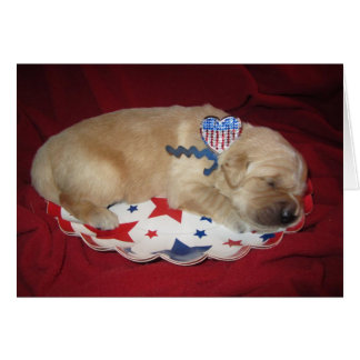 Patriotic Levi Cards