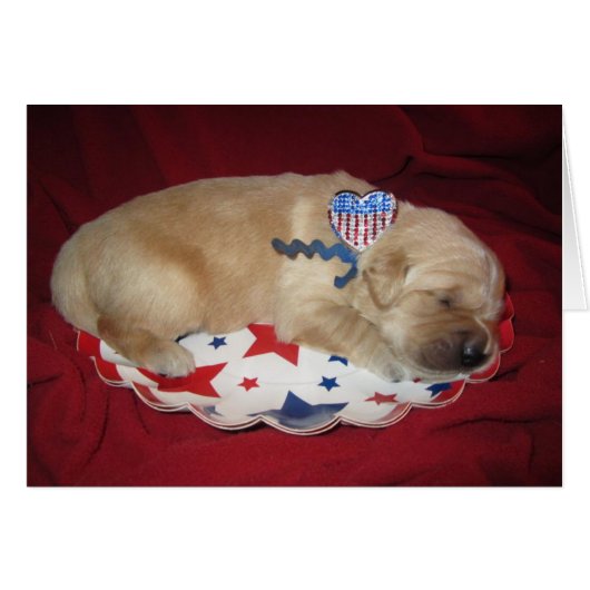 Patriotic Levi Cards (Front Horizontal)
