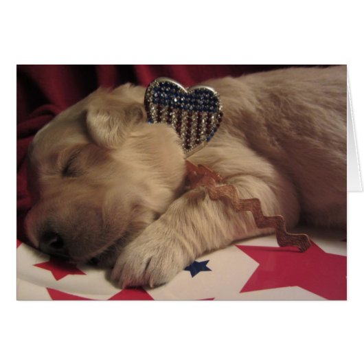 Patriotic Lucy Cards (Front Horizontal)