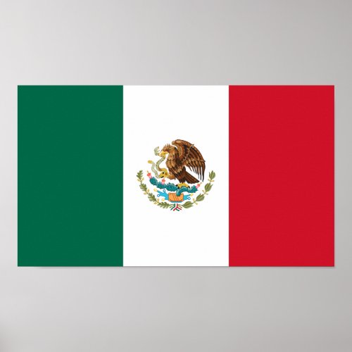 Patriotic Mexican Flag Poster