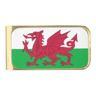 Patriotic Money Clip with flag of Wales