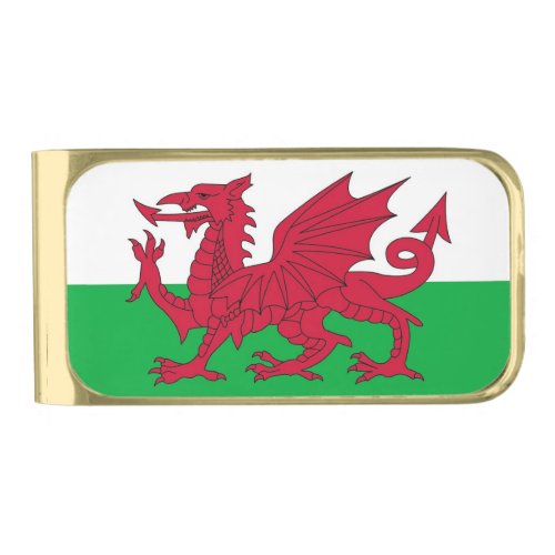 Patriotic Money Clip with flag of Wales