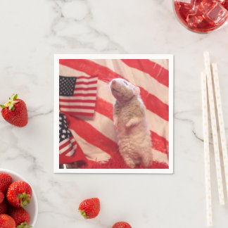 Patriotic Murray Napkins