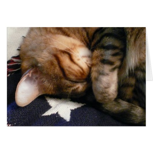 Patriotic Nap Cards (Front Horizontal)