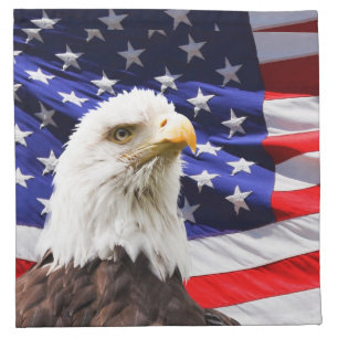 Patriotic Napkin