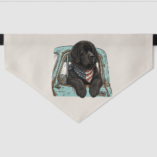 Patriotic Newf Pup in the Pickup Pet Bandana Collar