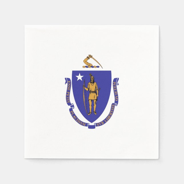 Patriotic paper napkins with flag of Massachusetts (Front)