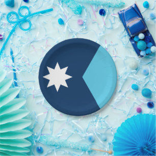 Patriotic paper plate with flag of Minnesota, USA