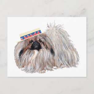 Patriotic Pekingese Card