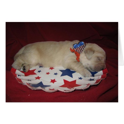 Patriotic Penny (Front Horizontal)