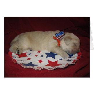 Patriotic Penny Cards