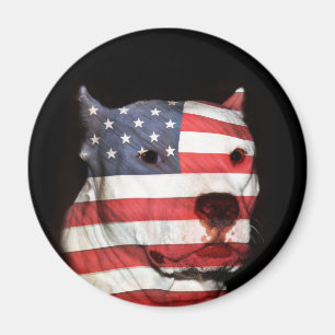 Patriotic pitbull face magnet