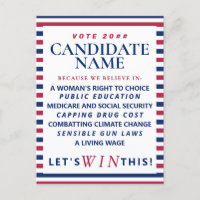 Patriotic Political Vote Blue Democrat Campaign