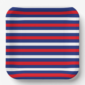 PATRIOTIC RED WHITE BLUE STRIPES PAPER PLATES