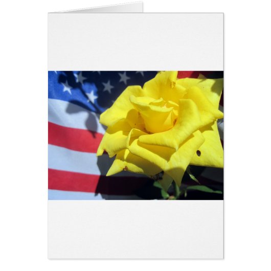 Patriotic Rose Cards (Front)