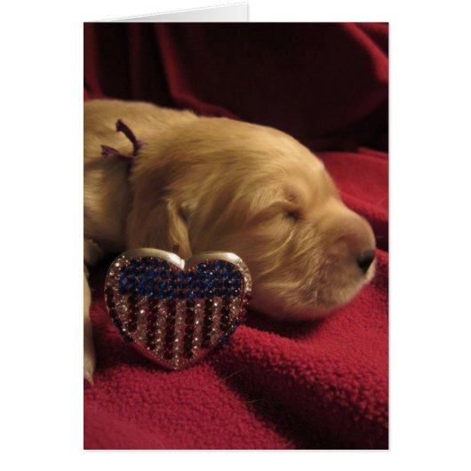 Patriotic Ruby Cards (Front)