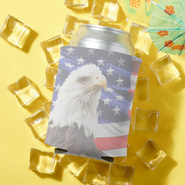 Patriotic Stars And Stripes Can Cooler (In Situ Summer)