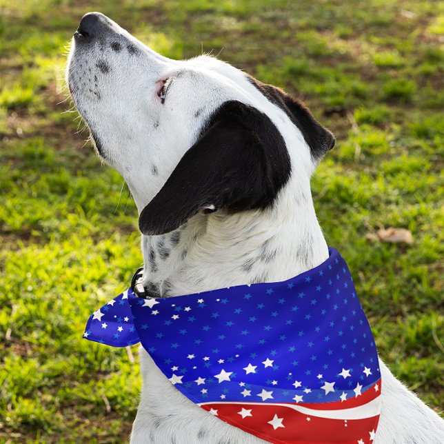 Patriotic Stars & Stripes Abstract American Flag 4 Bandana (Creator Uploaded)