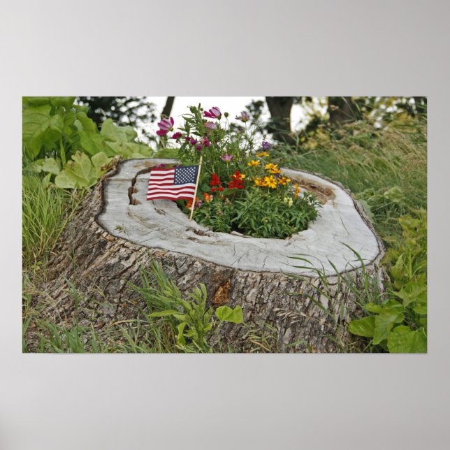 Patriotic Stump Poster (Front)