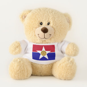 Patriotic Teddy Bear with flag of Dallas
