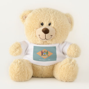 Patriotic Teddy Bear with flag of Delaware