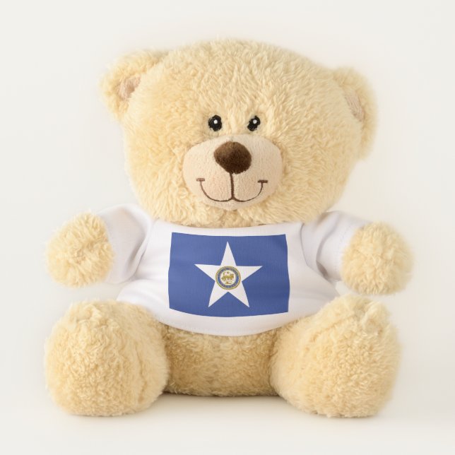 Patriotic Teddy Bear with flag of Houston (Front)