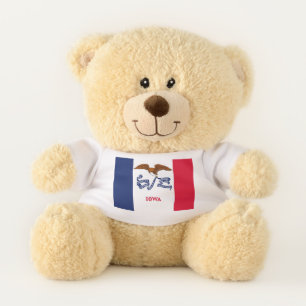 Patriotic Teddy Bear with flag of Iowa, USA