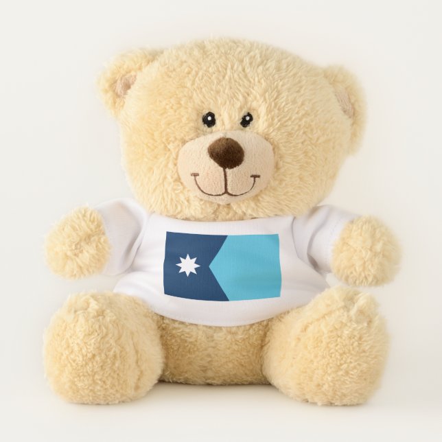Patriotic Teddy Bear with flag of Minnesota, USA (Front)