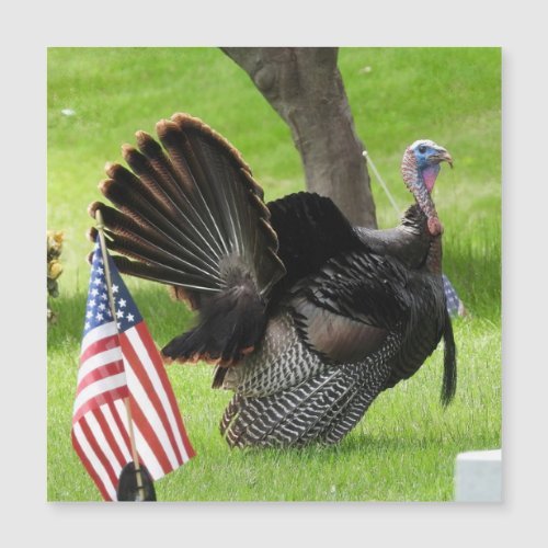 Patriotic Turkey Strut Magnet Greeting Card