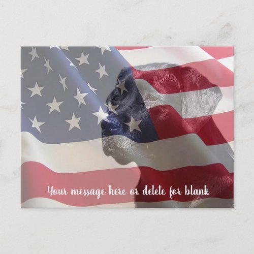 Patriotic Usa Flag _ Black Lab Postcard