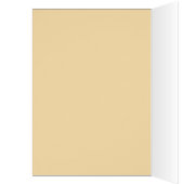 Patriotic USA - Join Cards (Inside (Left))