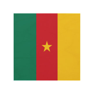 Patriotic wood canvas with Flag of Cameroon