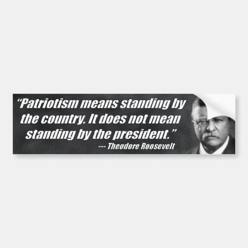 Patriotism Means Standing By The Country Bumper Sticker