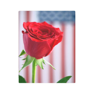 Patriotism Metal Wall Art