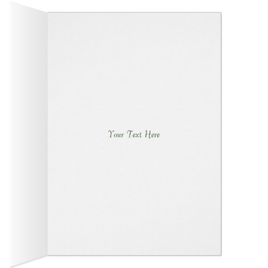 Patron Saint Of Depression And Anxiety St Dymphna (Inside (Right))