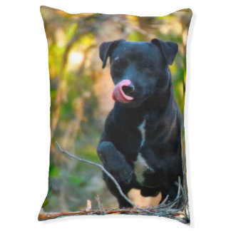 Patterdale Terrier Dog Bed. Pet Bed