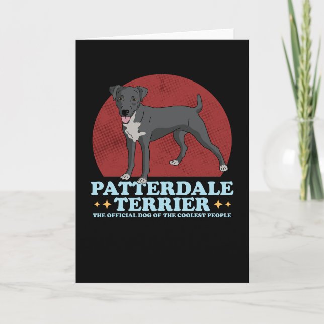 Patterdale Terrier Dog Of The Coolest Patterdales Card (Front)