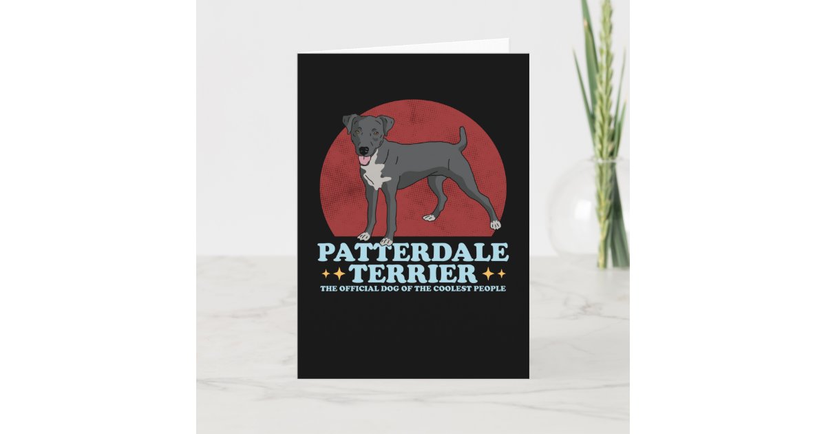Patterdale Terrier Greeting Card