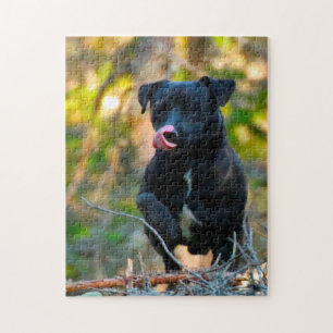 Patterdale Terrier. Jigsaw Puzzle