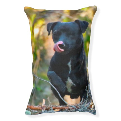 Patterdale Terrier Pet Bed