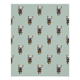 pattern_2_french bulldog_2 glossy poster