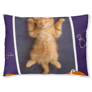 Pattern Design Pet Bed