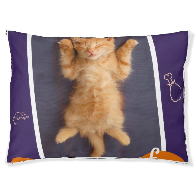 Pattern Design Pet Bed (Front)