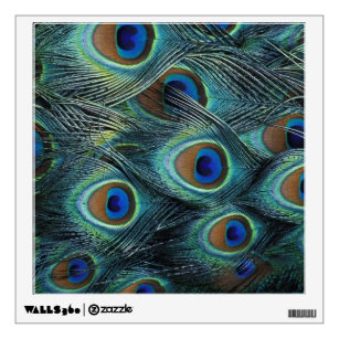 Pattern in male peacock feathers wall sticker