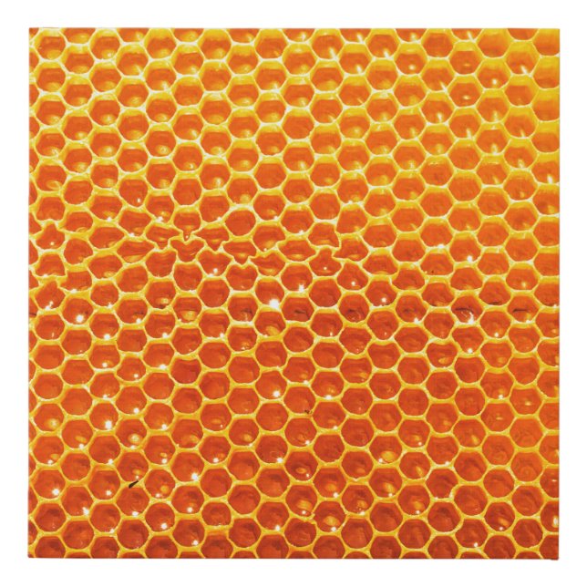 Pattern of a section of wax honeycomb from a bee h faux canvas print (Front)