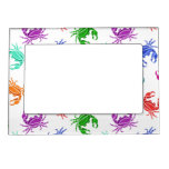 Pattern Of Crabs Magnetic Frame