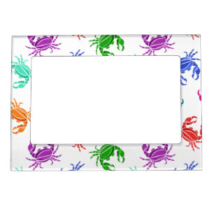 Pattern Of Crabs Magnetic Frame