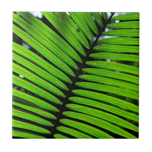 Pattern Of Fern Leaves Ceramic Tile