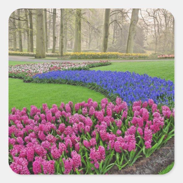 Pattern of Grape Hyacinth, tulips, and 2 Square Sticker (Front)