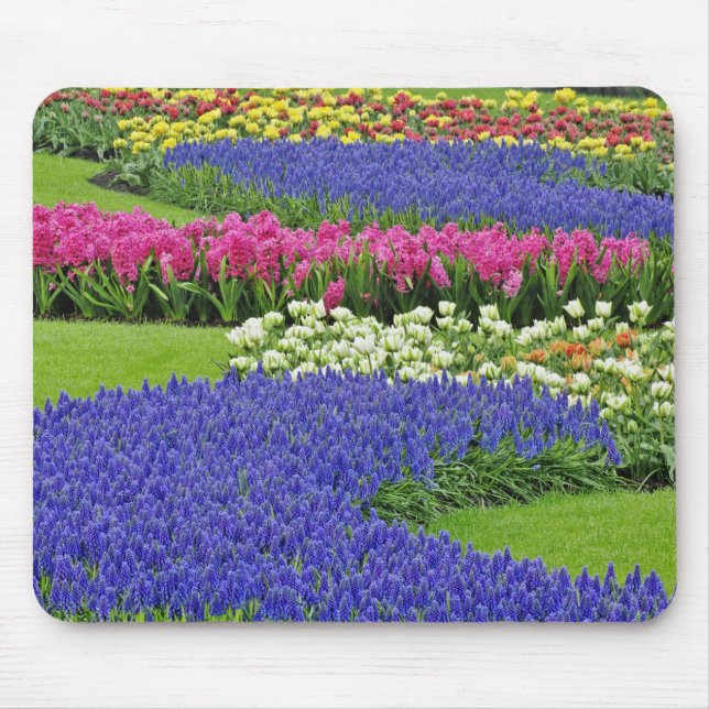 Pattern of Grape Hyacinth, tulips, and 3 Mouse Pad (Front)